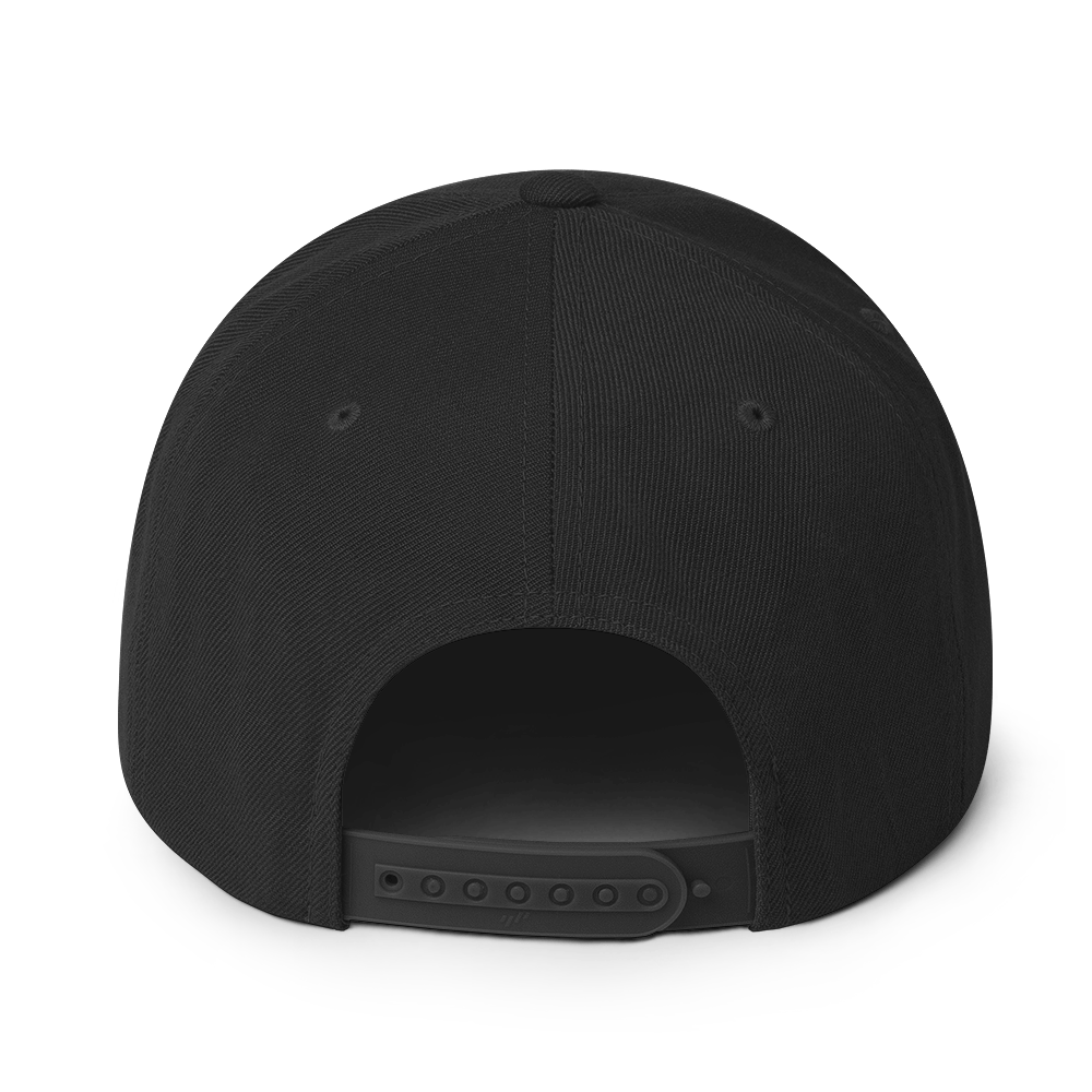 Blue OBS Snapback Hat